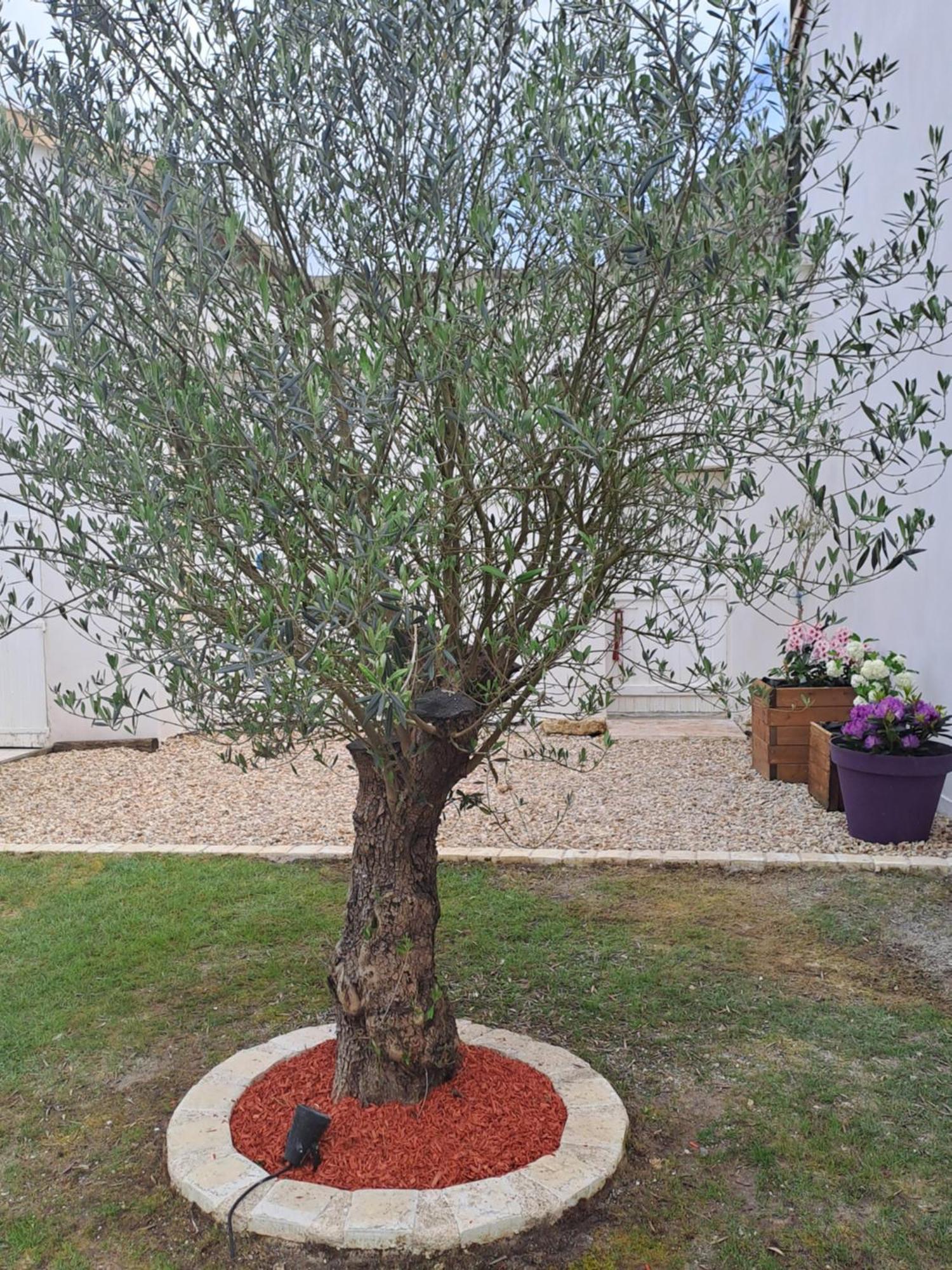 Maison Depaysante Au Calme Angouleme Holiday home *
